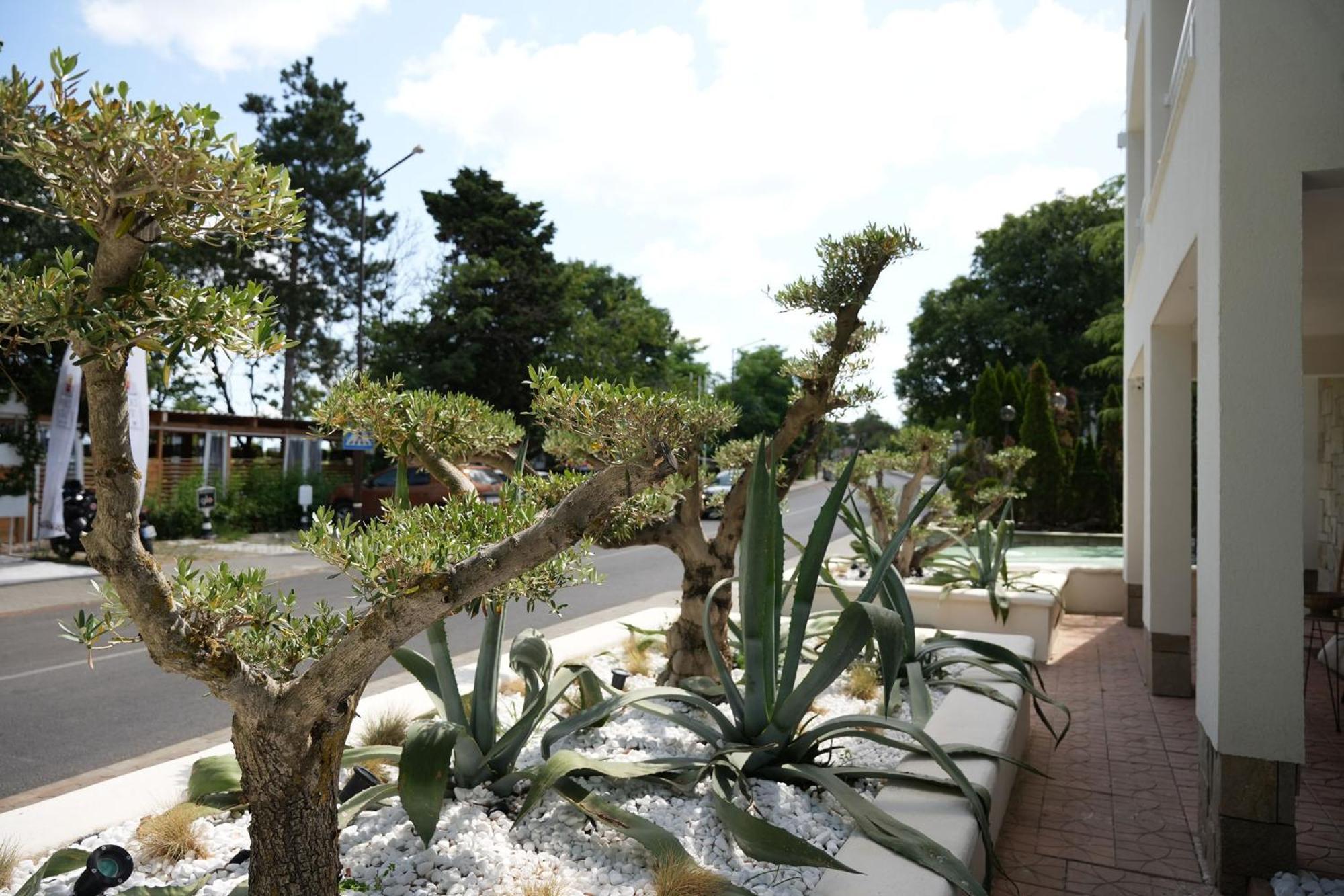 Paradise Bay Hotel Sozopol Zewnętrze zdjęcie